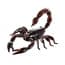 Infrared Remote Control Giant Scorpion Prank