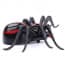 Infrared Remote Control Giant Spider Prank