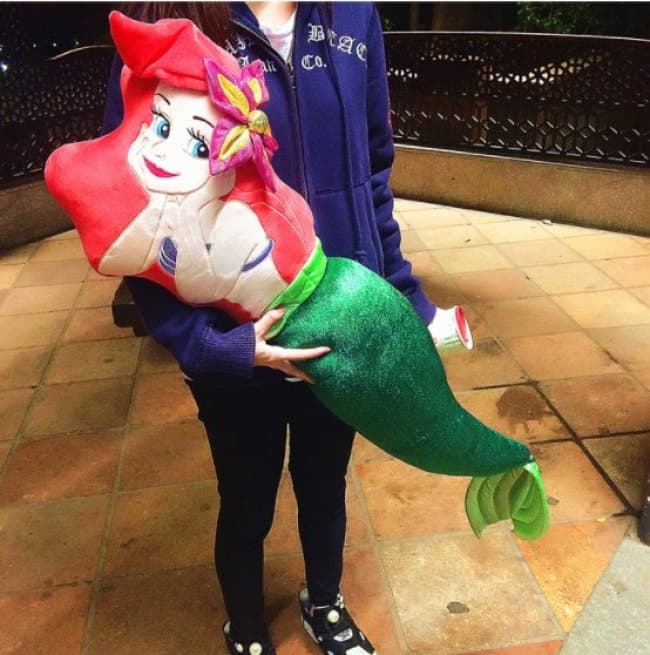 ariel pillow pet
